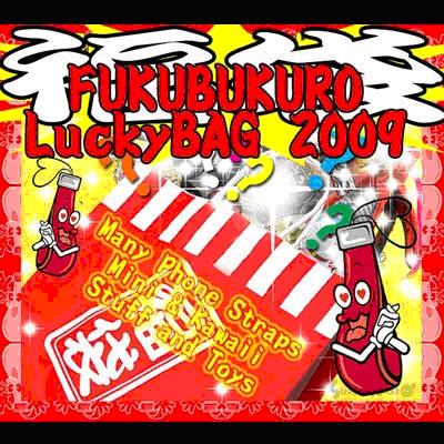 Fukubukuro 2009 Japan Lucky Bag
